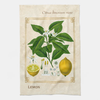 kruidenPlant Lemon Fruit Botanische kunst Theedoek