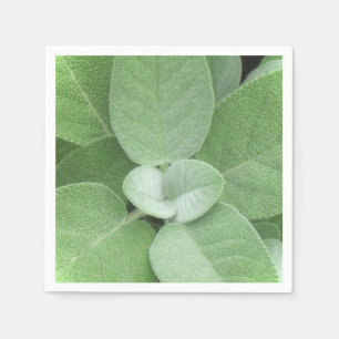 Kruidenservet Servetten