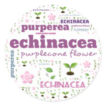 KRUIDENWOORD LABEL - KRUIDEN/GROENTE - PURPLECONE