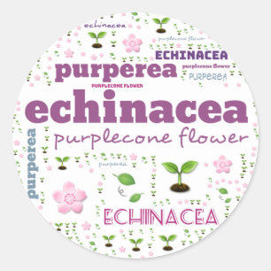 KRUIDENWOORD LABEL - KRUIDEN/GROENTE - PURPLECONE