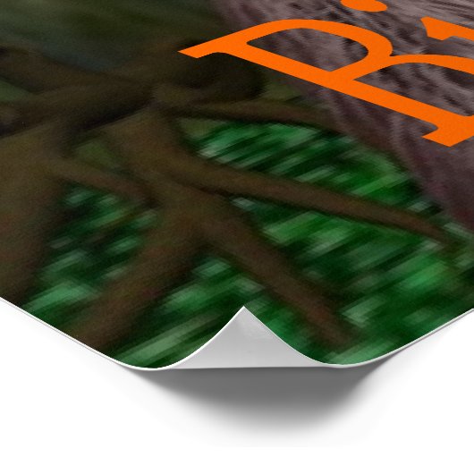 kruiper poster (Hoek)