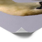 Kruipsnaarzwaluw Poster (Hoek)