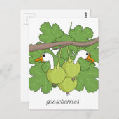 Kruisbessen Briefkaart (Voorkant / Achterkant)