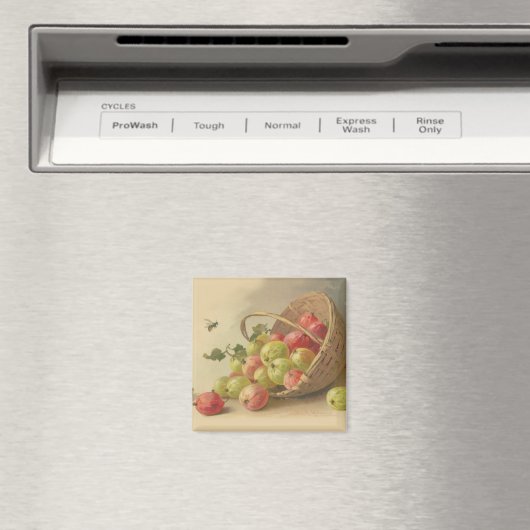  kruisbessen magneet (Insitu (Vaatwasser))