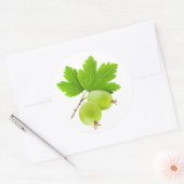 Kruisbessen Ronde Sticker (Envelop)