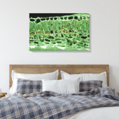 Kruisdoorsnede van leder canvas afdruk (Insitu (Slaapkamer))