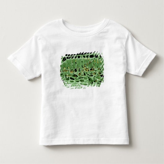 Kruisdoorsnede van leder kinder shirts (Voorkant)