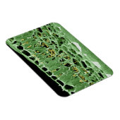 Kruisdoorsnede van leder magneet (Rechterzijde)