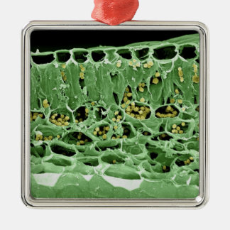 Kruisdoorsnede van leder metalen ornament