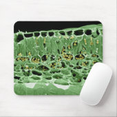 Kruisdoorsnede van leder muismat (Met muis)