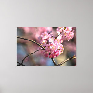Kruiselings geplaatste Kersenboomtakken in de tuin Canvas Afdruk