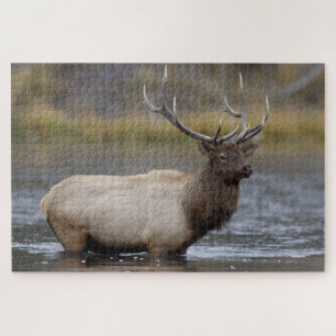 Kruisende Wapitihengst   Nationaal Park Yellowston Legpuzzel