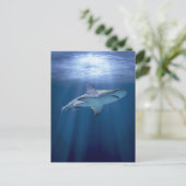 Kruishaai Briefkaart (Staand voorkant)