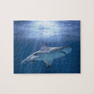 Kruishaai Legpuzzel