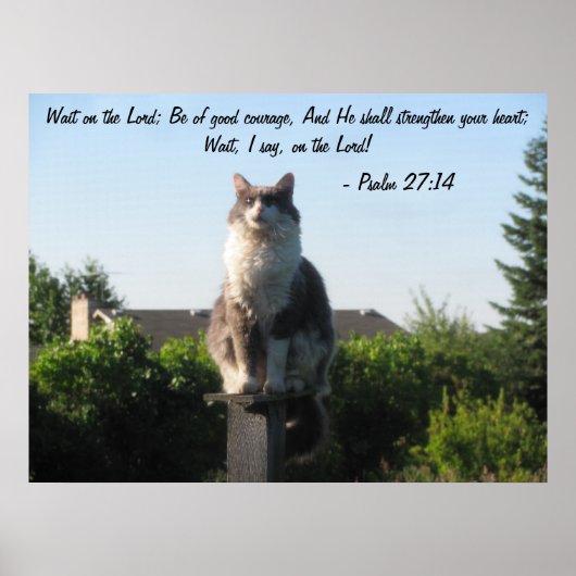 Kruisoogkat en psalm 27:14 poster (Voorkant)