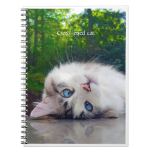 Kruisoogkat Notitieboek