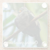 Kruispuntduif Glazen Onderzetter (Achterkant)