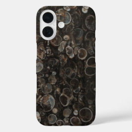 Kruissectie met turritella Agate iPhone 16 Hoesje