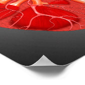 Kruissectie van de menselijke nier poster (Hoek)