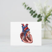 Kruissectie van het menselijk hart briefkaart (Staand voorkant)