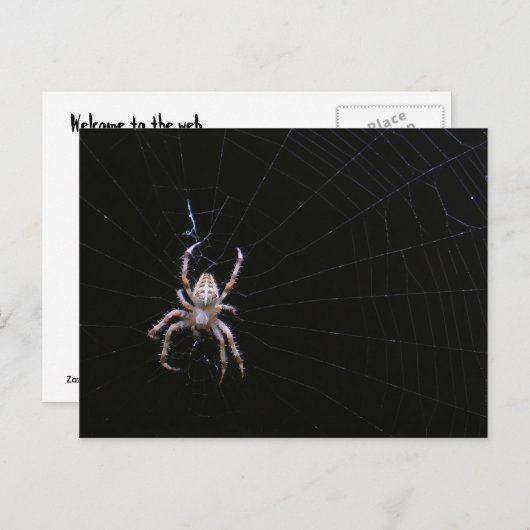 Kruisspin ~ briefkaart (Voorkant / Achterkant)