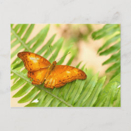 kruisvaarder briefkaart