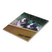 kruiwagen tegeltje (Zijkant)