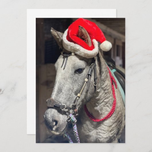 Krullpaard Bedankkaart (Voorkant / Achterkant)