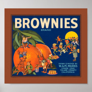 KRW Brownies Brand Sinaasappels Fruit Crate Lab Poster