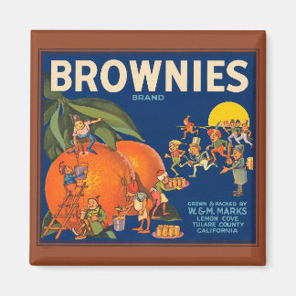 KRW Brownies Oranje Fruit Crate Label Magn Magneet