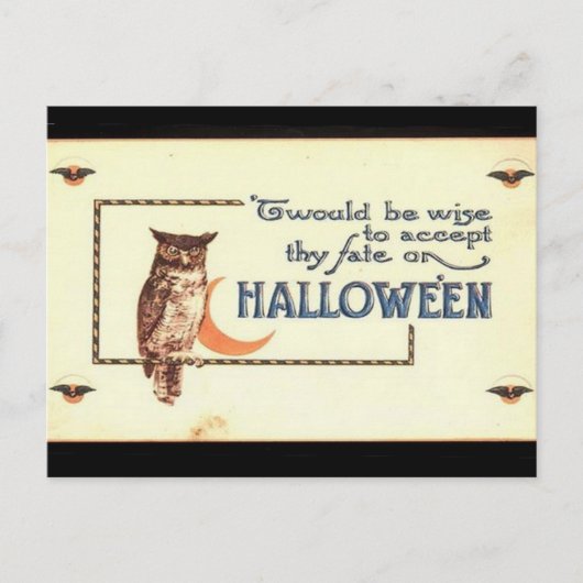 KRW  Halloween Owl Briefkaart (Voorkant)