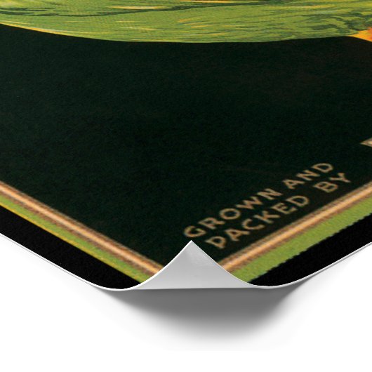 KRW koningscode Pelican sla Poster (Hoek)