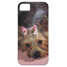 KRW Schattig Yorkie Dog iPhone 5 Hoesje