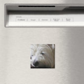 KRW Westie Magnet Magneet (Insitu (Vaatwasser))