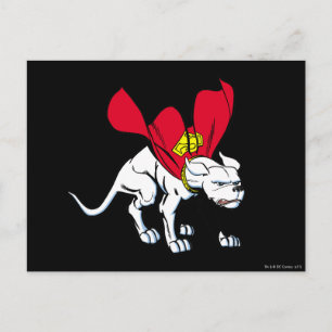 Krypto Growls Briefkaart
