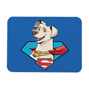 Krypto S-Shield Graphic Magneet