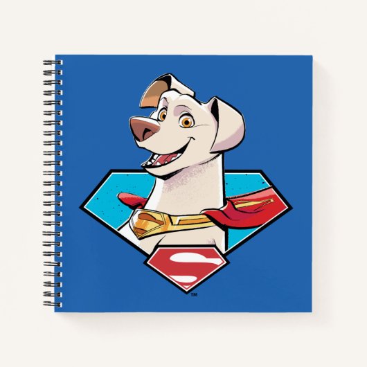 Krypto S-Shield Graphic Notitieboek (Voorkant)