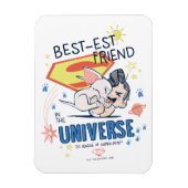 Krypto & Superman: Beste vriend in het universum Magneet (Verticaal)