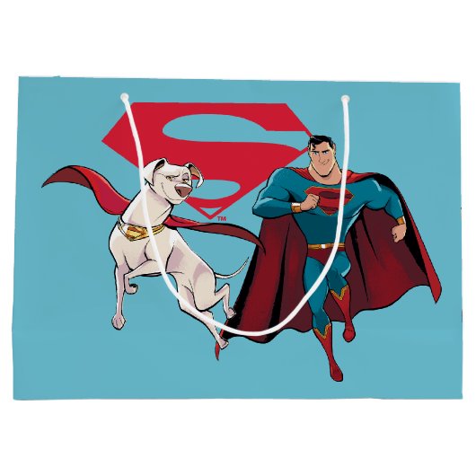 Krypto & Superman Groot Cadeauzakje (Achterkant)