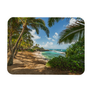 Kuau Cove Beach Maui, Hawaii Magneet