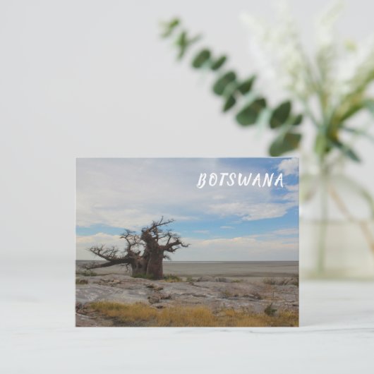 Kubu Island Baobab Tree Baobabs Botswana Scenery Briefkaart (Staand voorkant)
