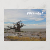 Kubu Island Baobab Tree Baobabs Botswana Scenery Briefkaart (Voorkant)