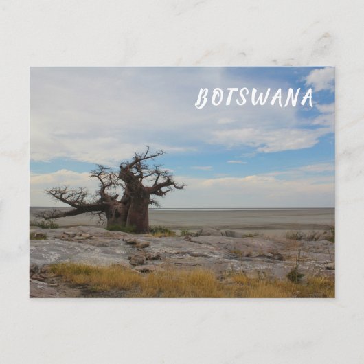 Kubu Island Baobab Tree Baobabs Botswana Scenery Briefkaart (Voorkant)