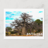 Kubu Island Baobab Tree Baobabs Botswana Scenery Briefkaart (Voorkant)
