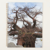Kubu Island Baobab Tree Botswana Paysage (Devant)