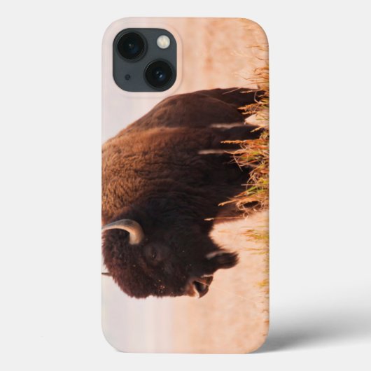 Kudde Amerikaanse Bizons (Bison Bison) In Teton 2 Case-Mate iPhone Case (Achterkant)