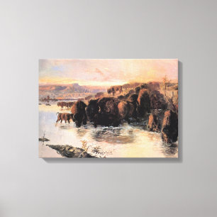 Kudde Amerikaanse buffels Canvas Afdruk