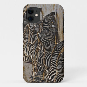 Kudde Burchell's zebra's drinkend uit Mara iPhone 11 Hoesje