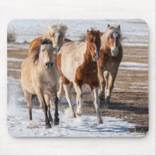 Kudde gemengde fokkerij paarden die in de sneeuw r muismat