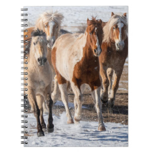 Kudde gemengde paarden die in de sneeuw rennen notitieboek